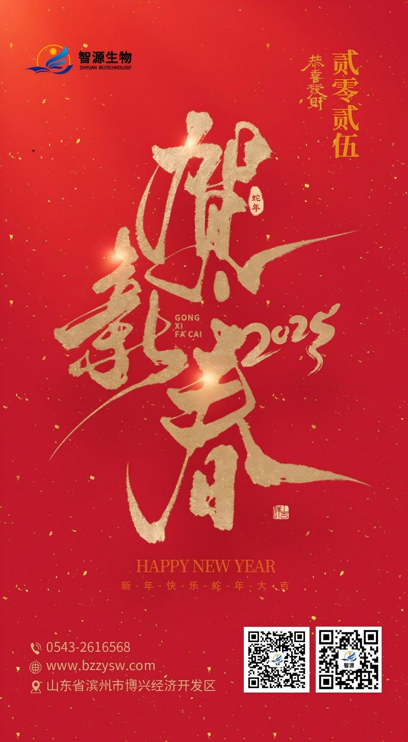 恭贺新春(1).jpg
