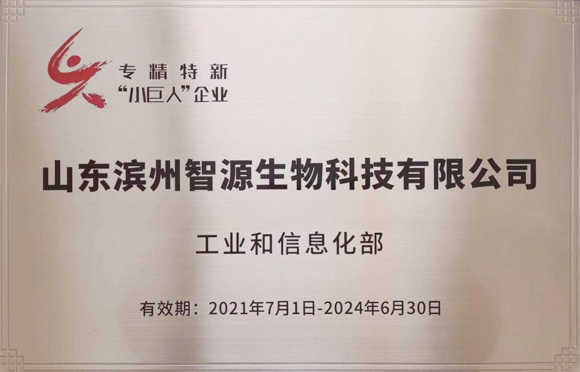 曾获评工信部专精特新 “小巨人” 企业(2021-2024)
